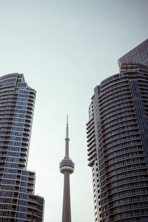 CNタワー, オフィスビル, オンタリオの無料の写真素材