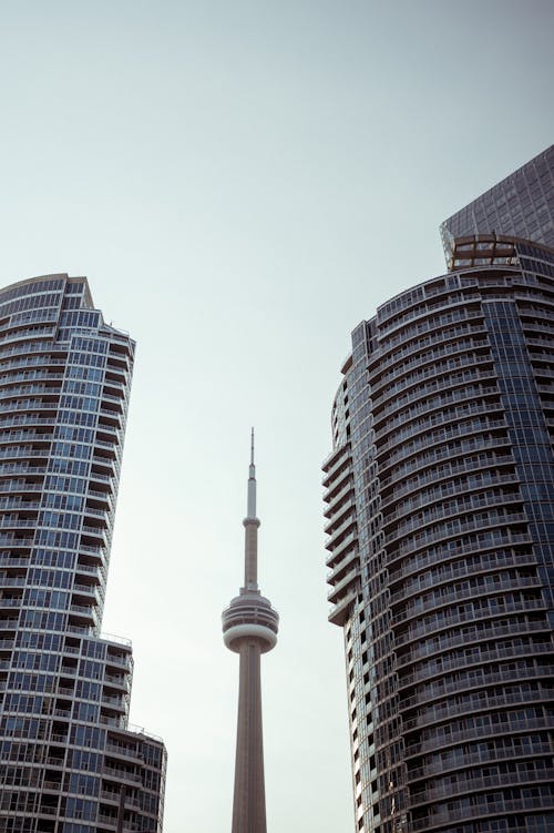 Free Low Angle Shot of the CN Tower and Skyscrapers in Toronto, Canada Stock Photo