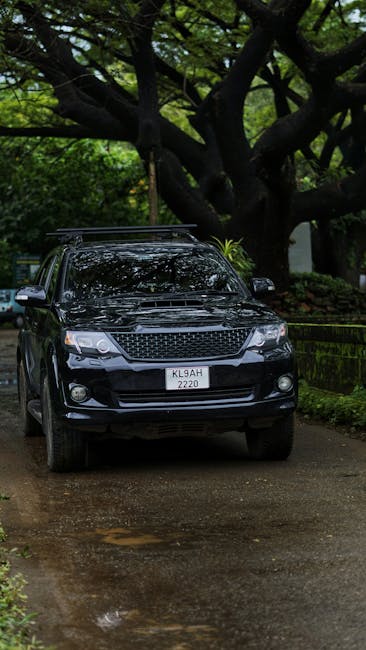 A stylish black SUV travels down a wet forest road, surrounded by lush greenery and dramatic trees.