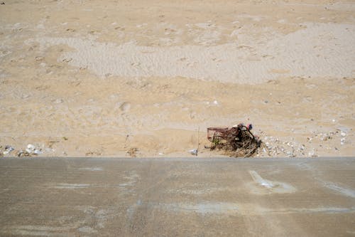 Fotos de stock gratuitas de arena, basura, borde del camino