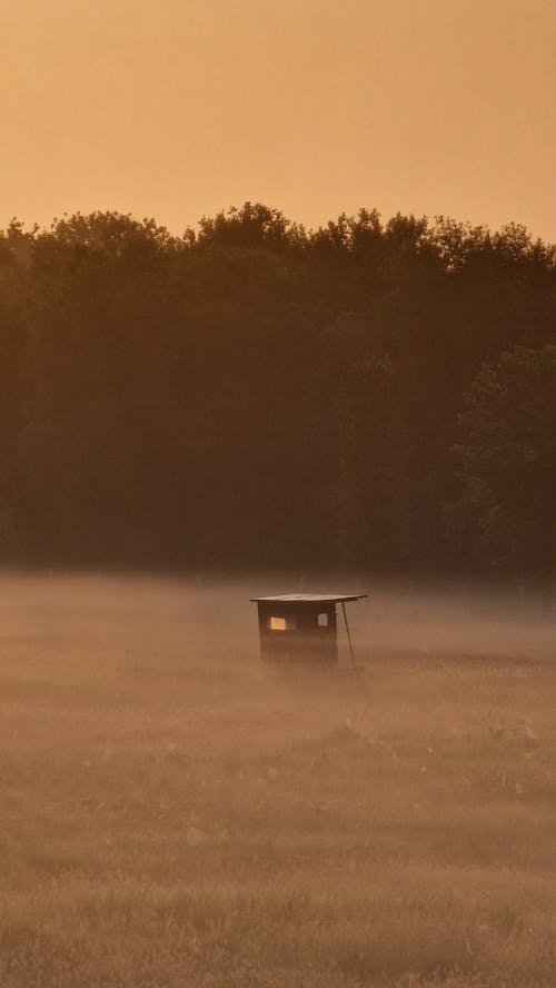 A Wooden Hut on a Field at Sunset 