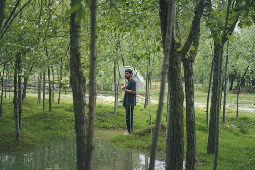 Základová fotografie zdarma na téma déšť, deštník, mokrý