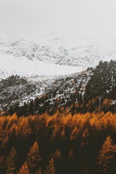 在多云的天空下，白雪覆盖的山脉俯瞰着秋天的森林