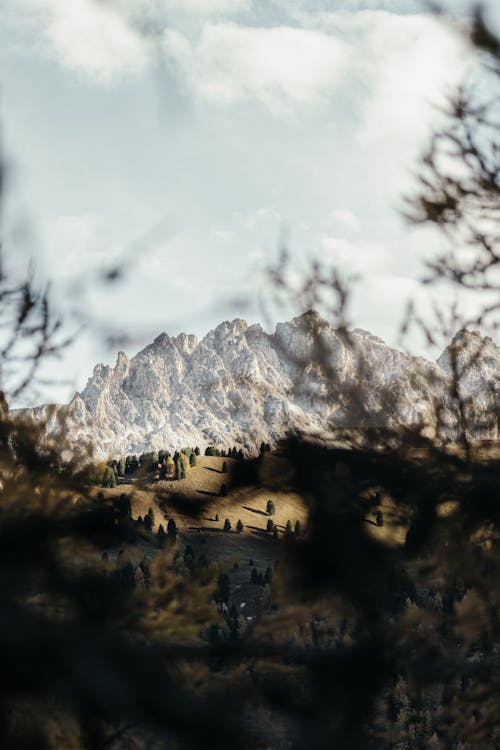 Kostnadsfri bild av berg, dagsljus, gräs