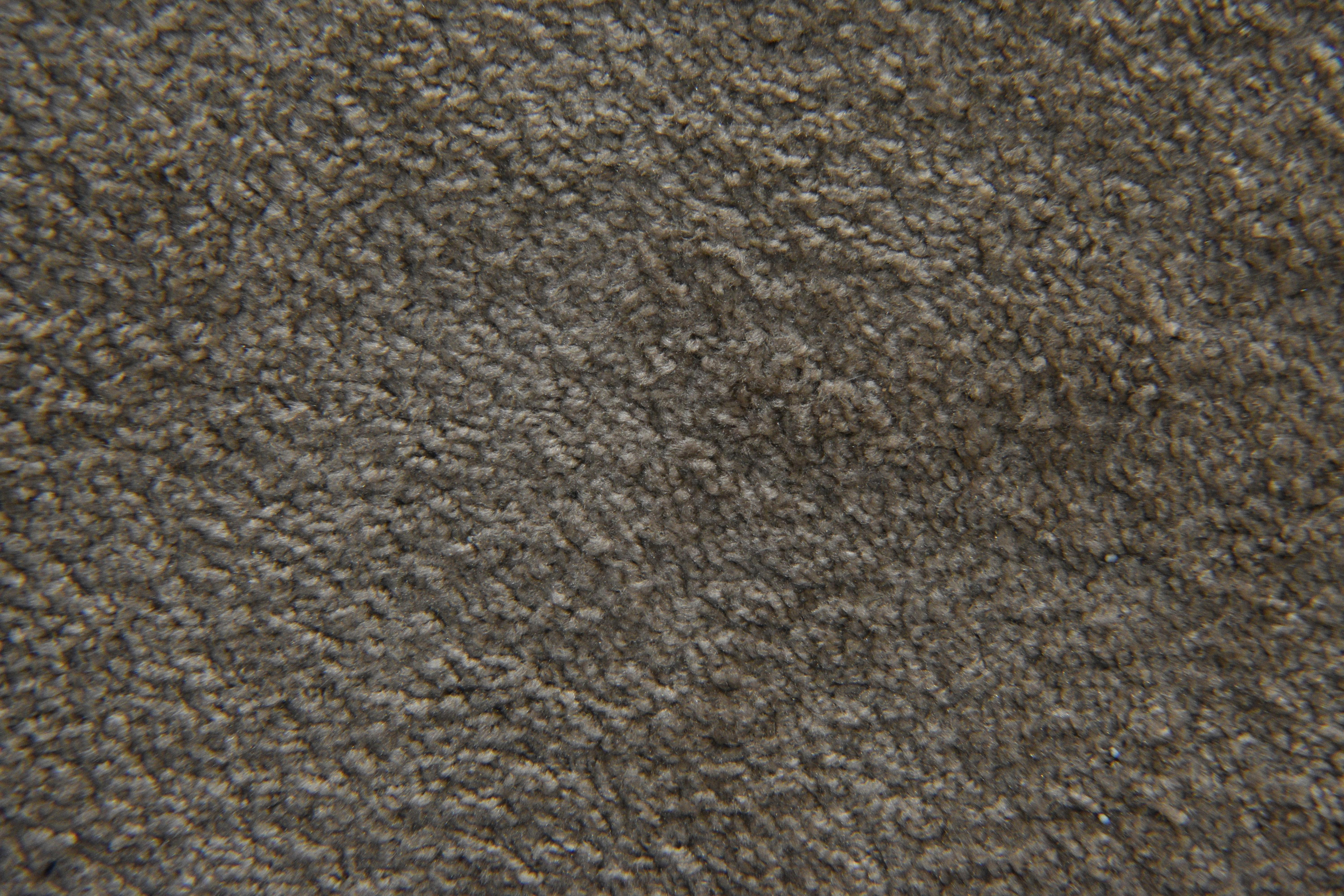 Free stock photo of carpet, carpet texture, cream carpet