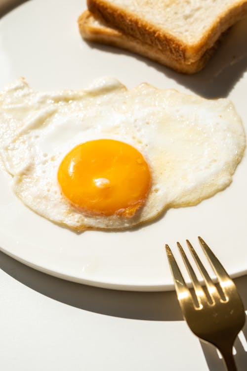 Free Fried Egg, Toasts, Plate and Fork Stock Photo