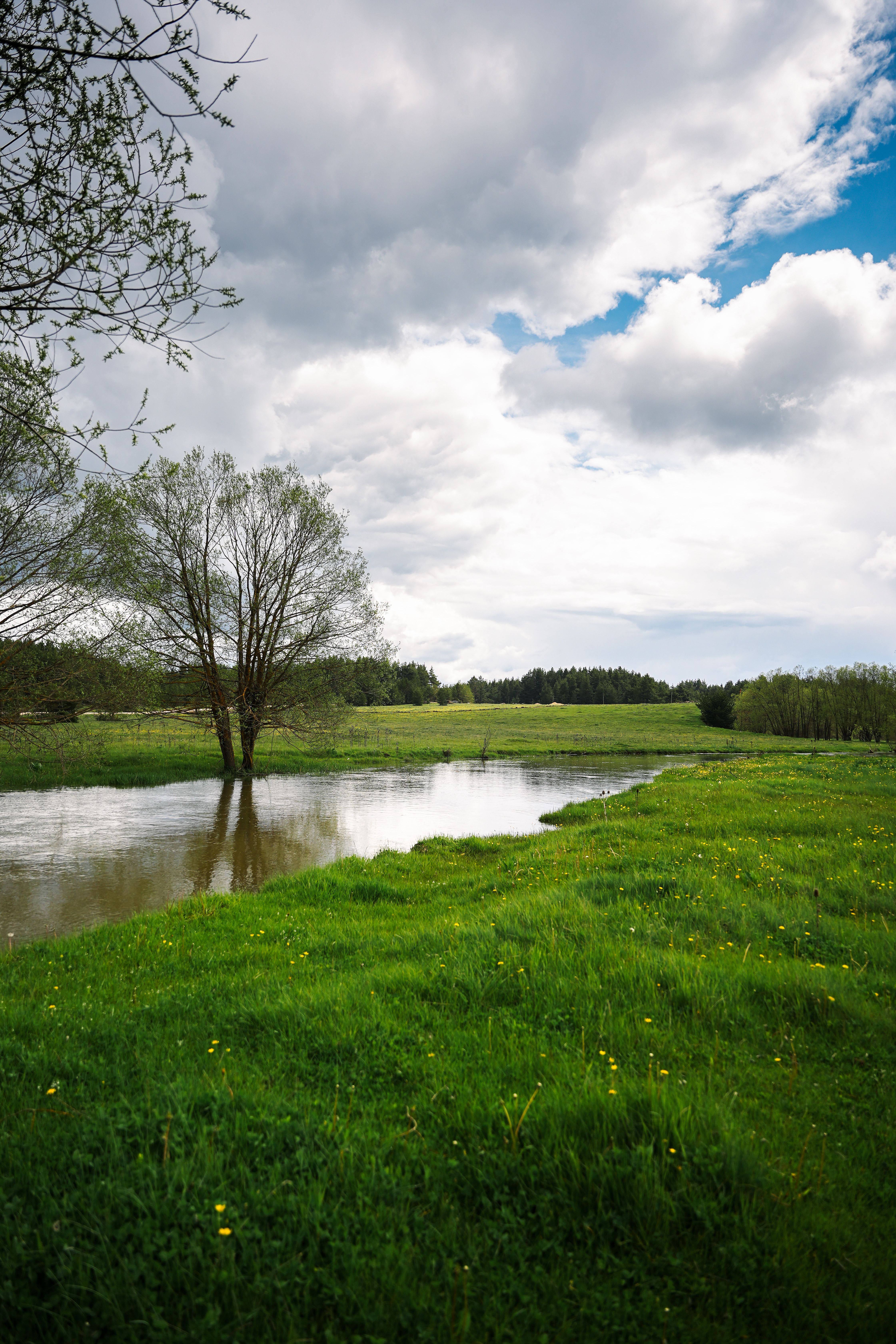 Green Grass Field Near River and Tree · Free Stock Photo