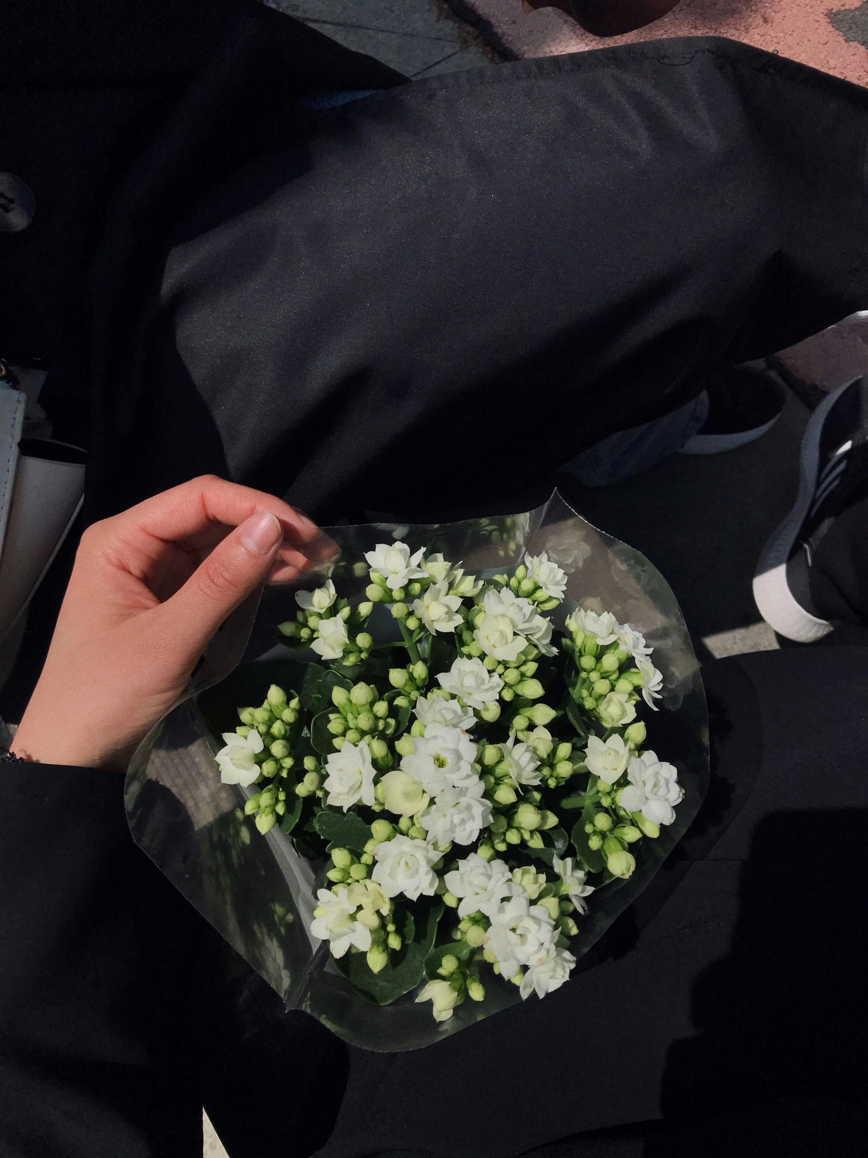 Shaun White Photos, Download The BEST Free Shaun White Stock Photos