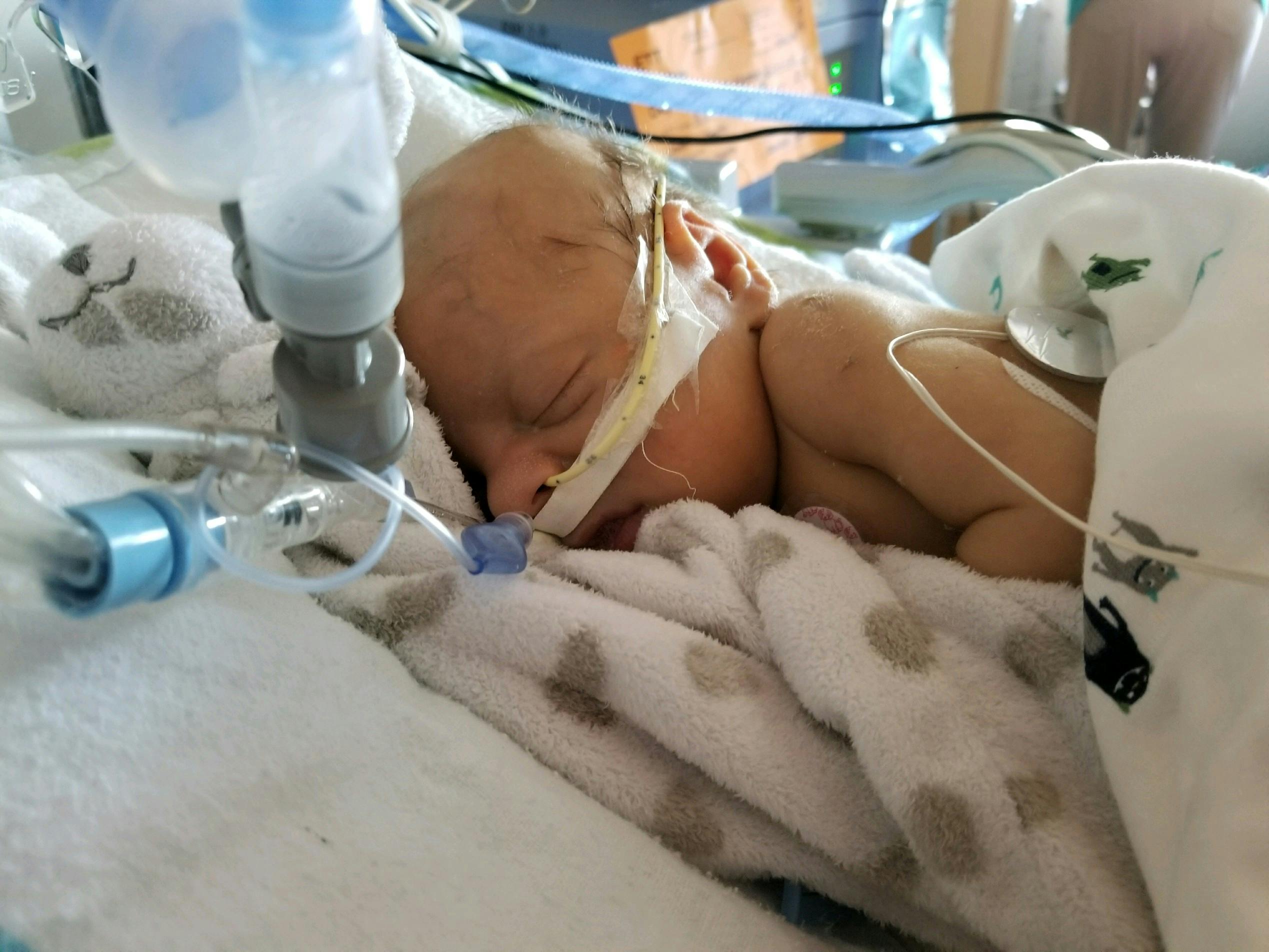 Florence skyline with Duomo and Ponte Vecchio