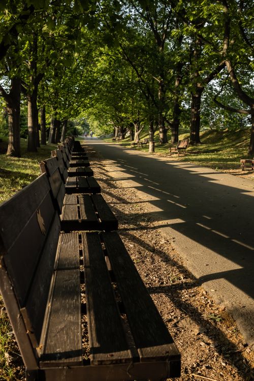 Free A row of benches in the park Stock Photo