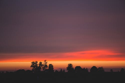 Бесплатное стоковое фото с багровое небо, восход, деревья