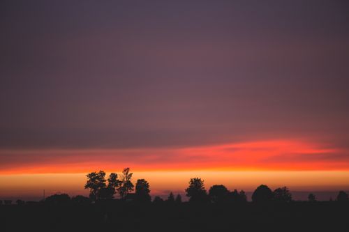 Free A breathtaking silhouette of trees against a vibrant sunset with orange and purple hues. Stock Photo