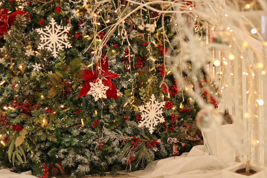 Free stock photo of christmas, christmas decoration, christmas tree