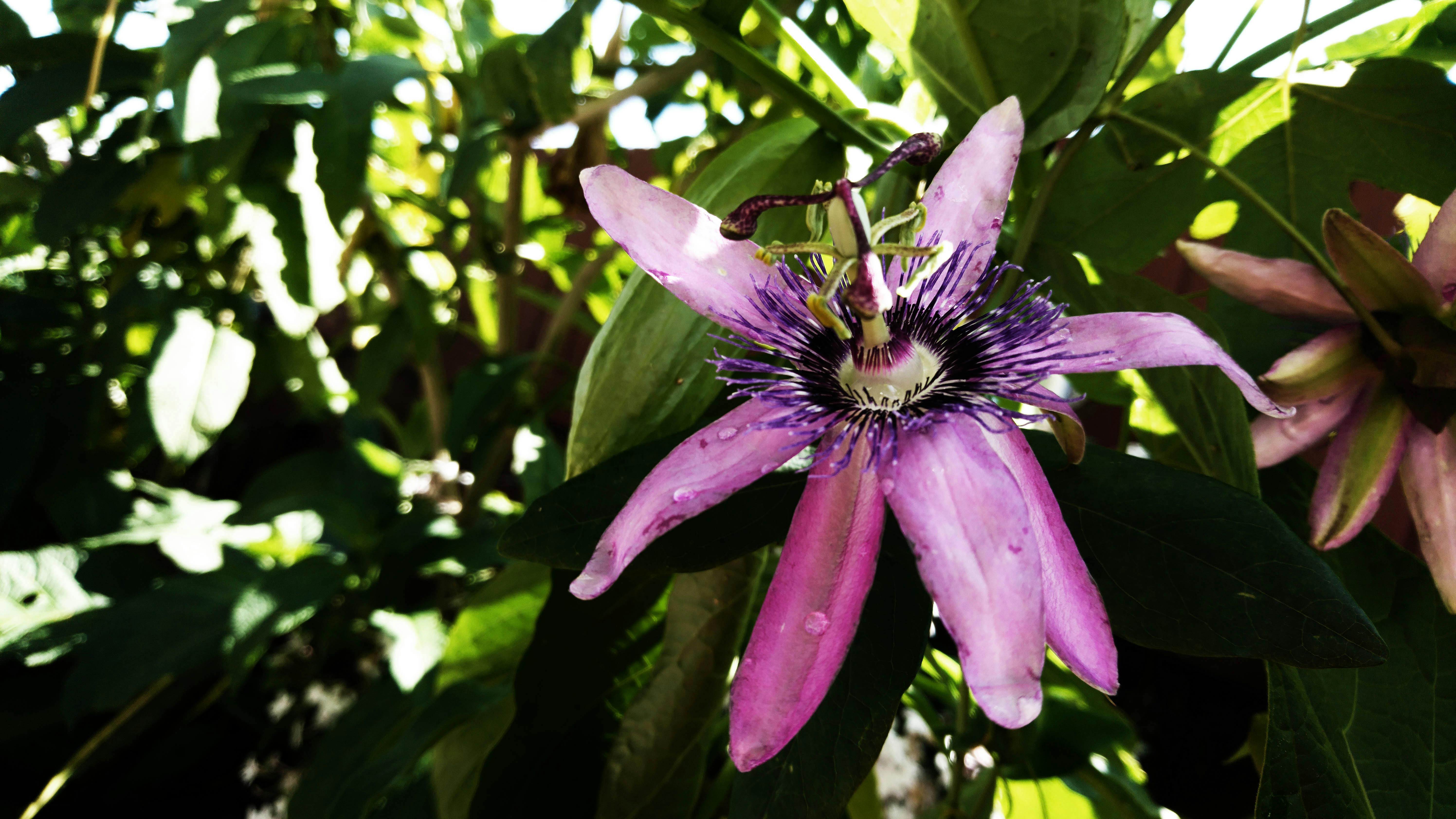 Daily Music Reflections Austin City Limits Music Festival crowd