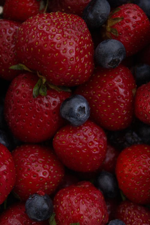 Foto stok gratis Blackberry, buah, fotografi makanan
