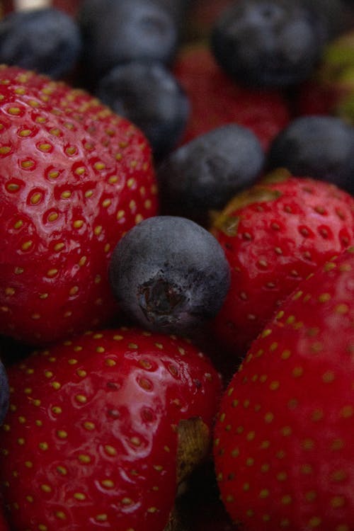 Δωρεάν στοκ φωτογραφιών με blackberries, αφθονία, επιλεκτική εστίαση