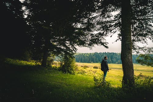 Бесплатное стоковое фото с лес, лето, мужчина