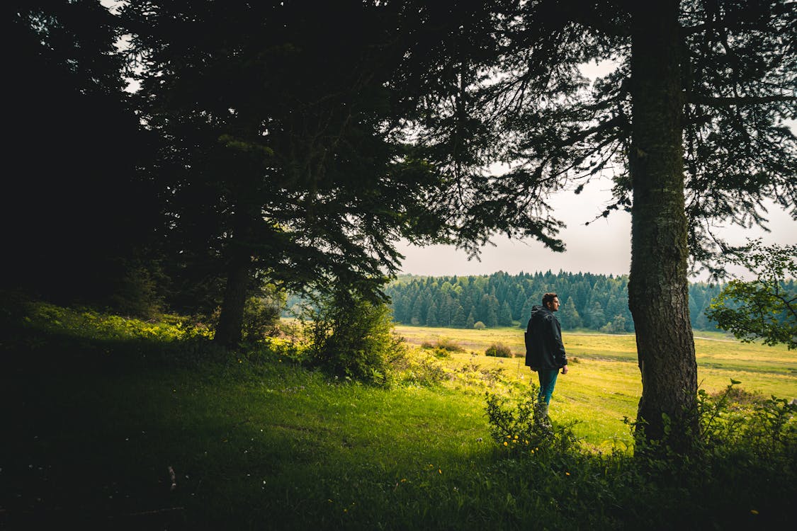 Man Standing at the Edge of a Forest