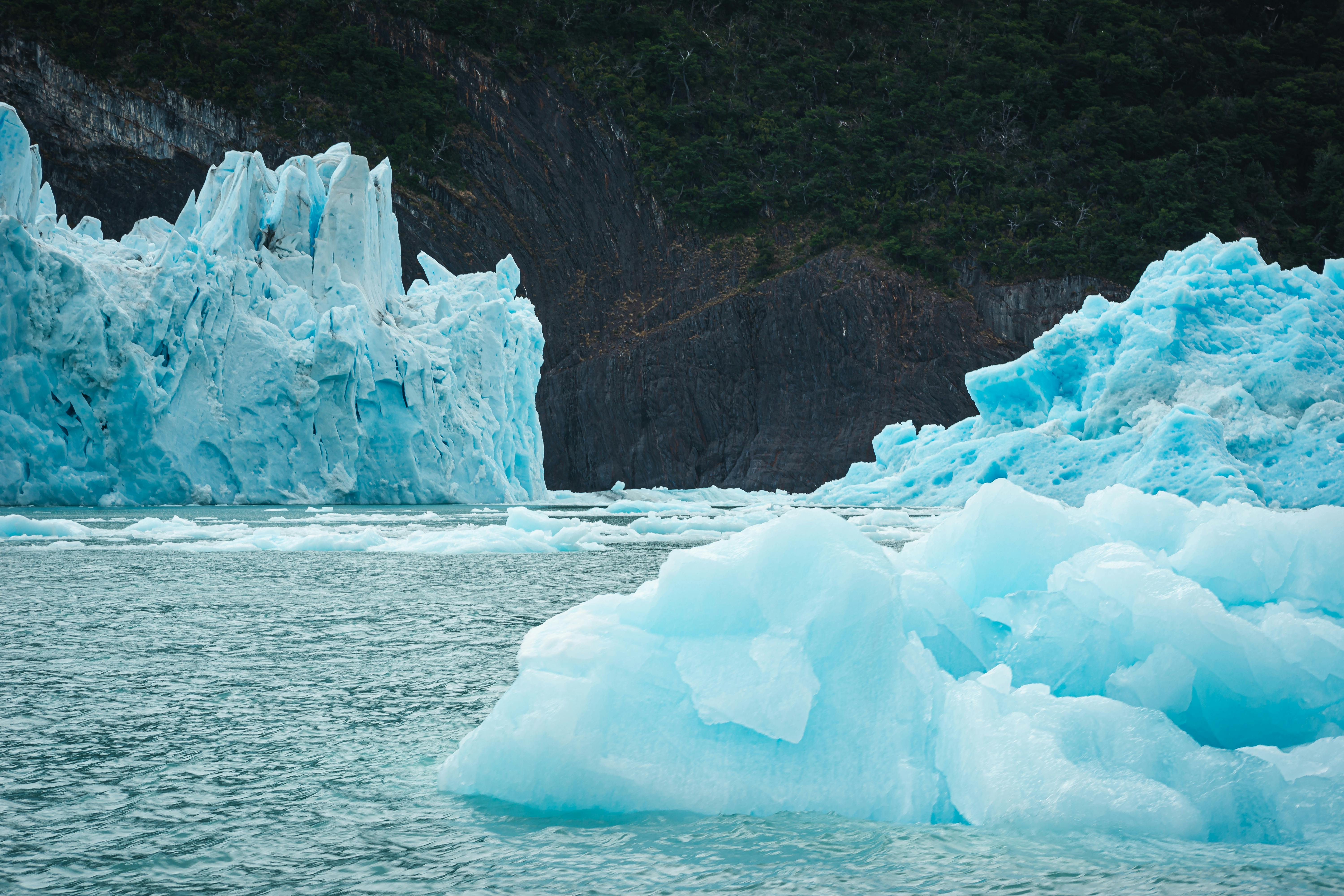 Understanding the Impact of Climate Change on Marine Ecosystems