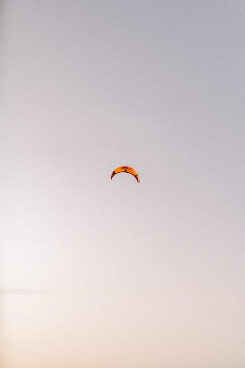 Kite Flying in Air