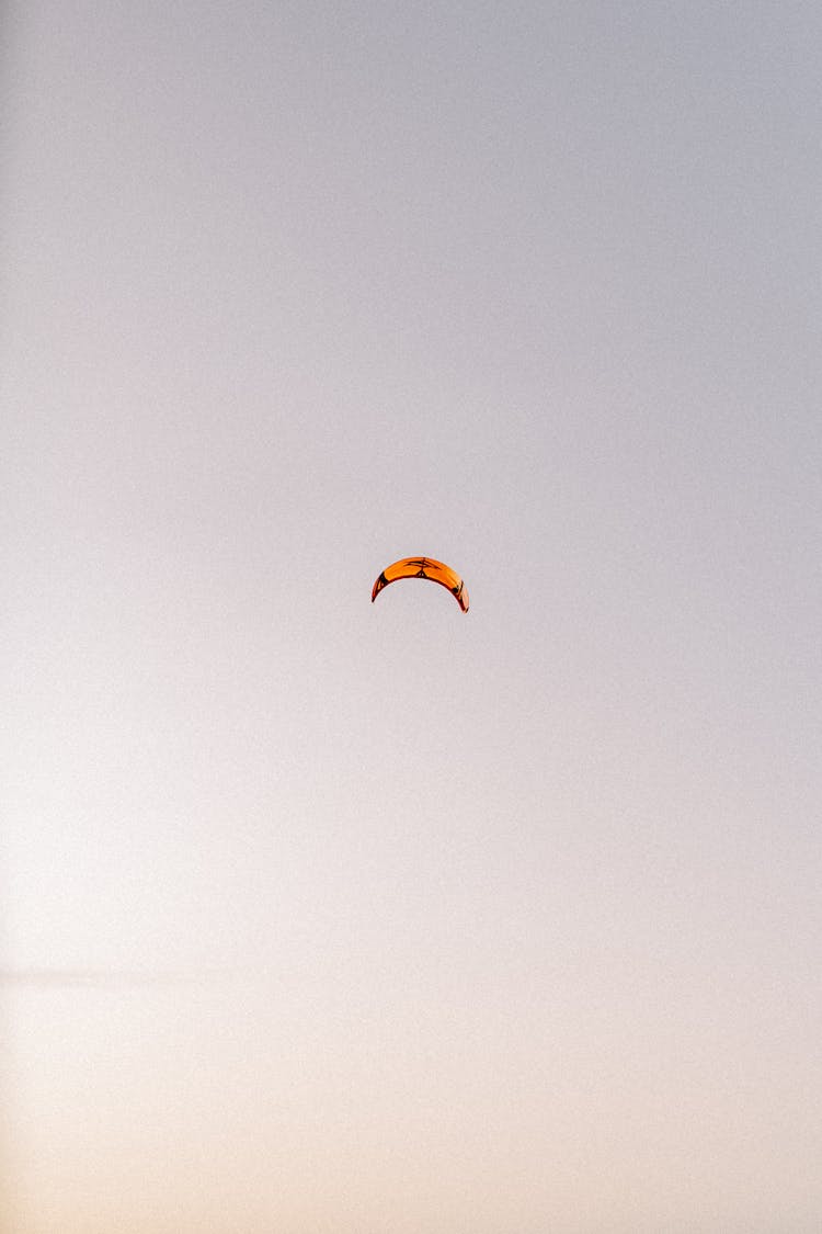 Kite Flying In Air