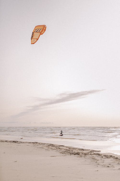 Imagine de stoc gratuită din aventură, coastă, concediu