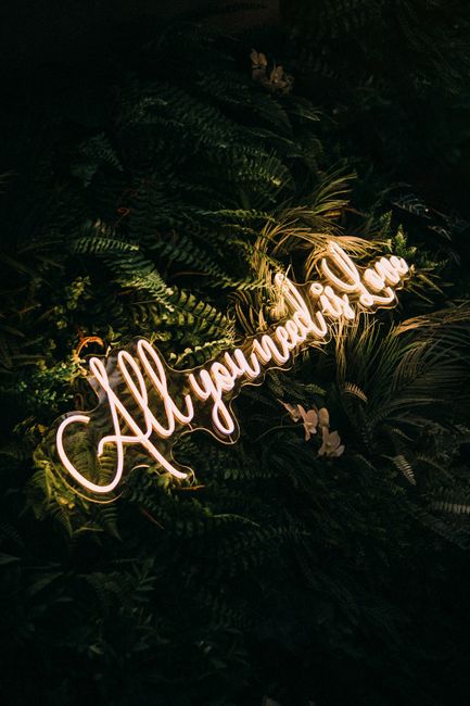 Artistic photo of glowing neon sign 'All you need is love' amid lush green foliage.