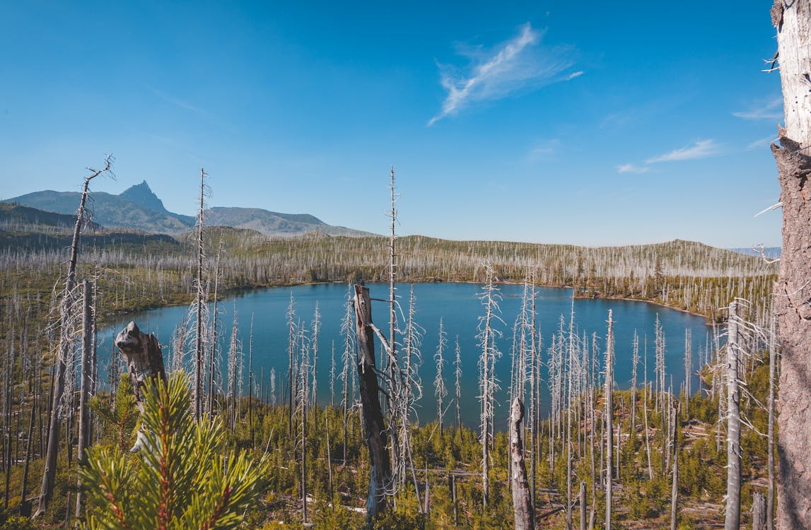 Kostnadsfri bild av berg, blå himmel, dagsljus