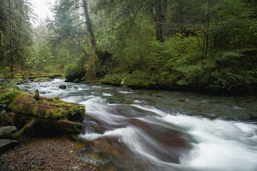 Photo of Stream of Water