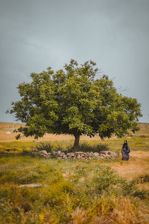 Village Woman Standing by the Lone Tree in a Field 