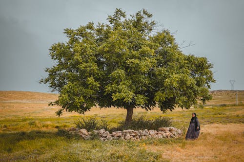 Woman in Headscarf Standing under Tree in Grass Field