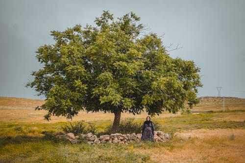 Darmowe zdjęcie z galerii z duże drzewo, kamienne ogrodzenie, kobieta