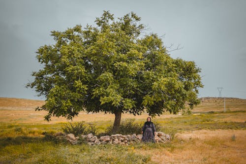 Woman Sitting by Stone Fence under Large Tree