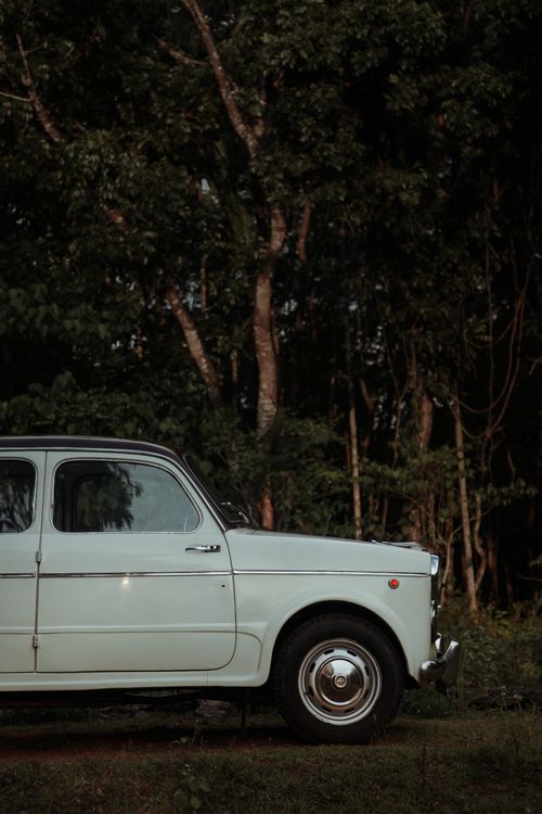 Free Classic white Fiat car parked amidst lush greenery in rural Kolenchery, Kerala, India. Stock Photo