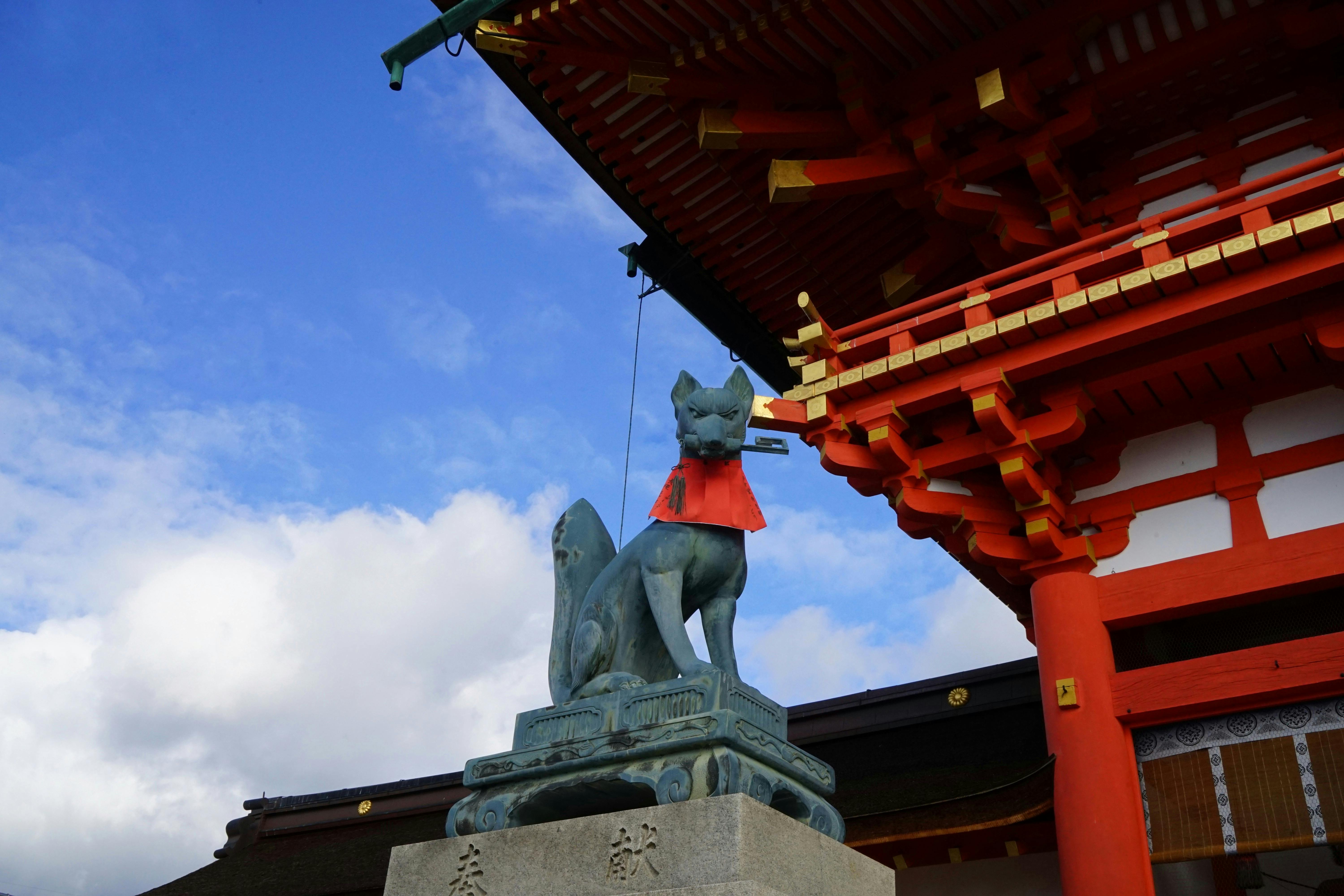 Jeune programmeur africain