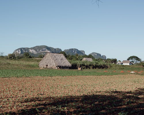 Бесплатное стоковое фото с деревни, деревня, домики