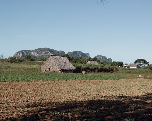 Free A picturesque rural scene featuring thatched huts set against lush greenery and distant mountains. Stock Photo