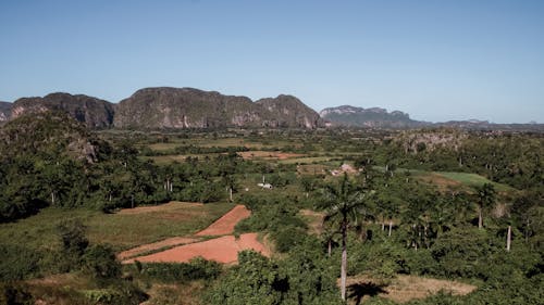 View of the Vinales Valley, a Depression in Cuba 
