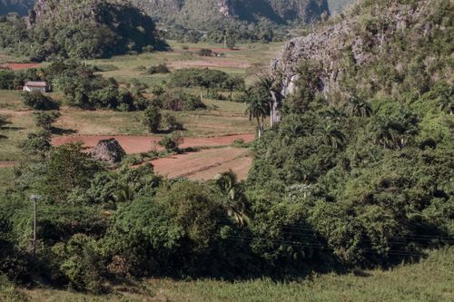 Free Scenic rural landscape featuring lush greenery and cultivated farm fields with surrounding hills. Stock Photo