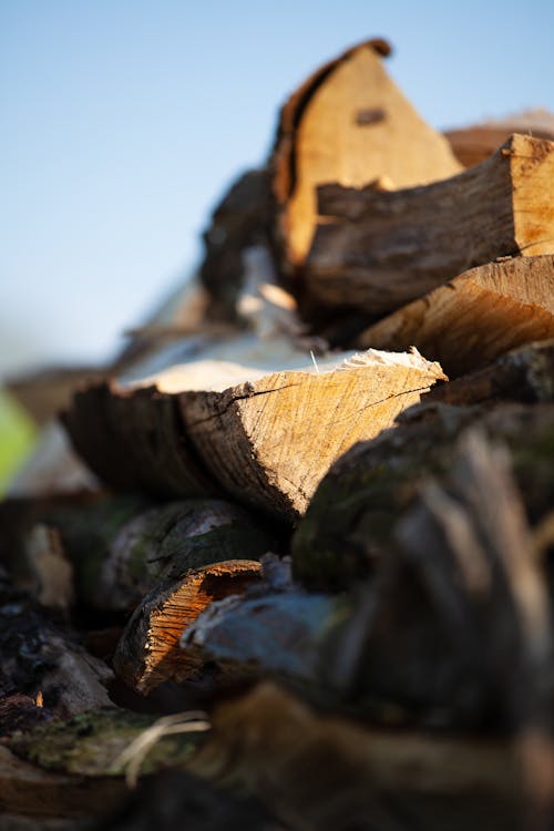 Close-up of a Pile of Firewood 