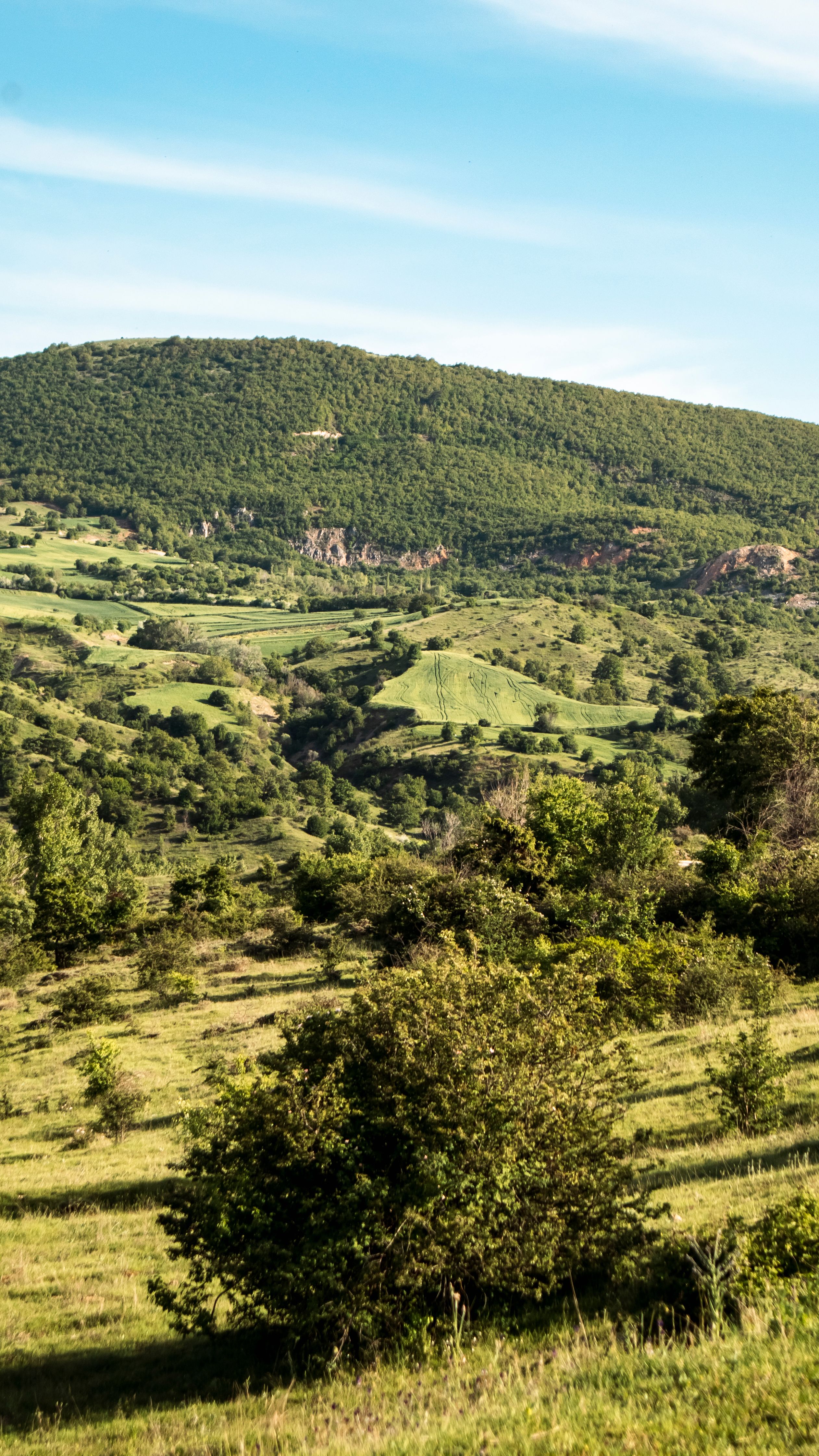 Vue Panoramique D'une Colline Et D'arbres · Photo gratuite