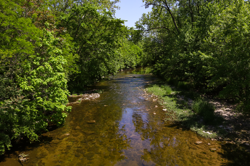 Free Peaceful river flowing through lush green forest in Indianapolis during summer. Stock Photo