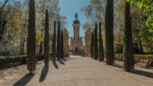 Imagine de stoc gratuită din alee, arbori, călătorie