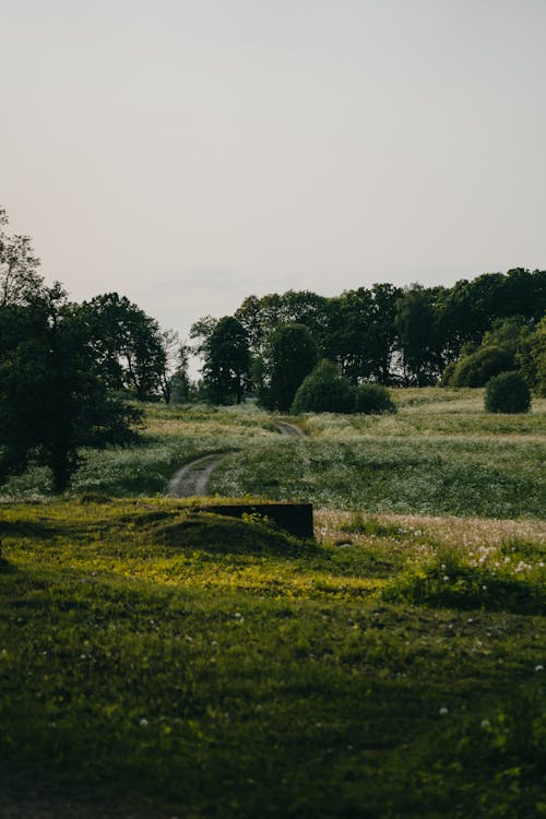 Fotobanka s bezplatnými fotkami na tému dedinský, krajina, pastvina