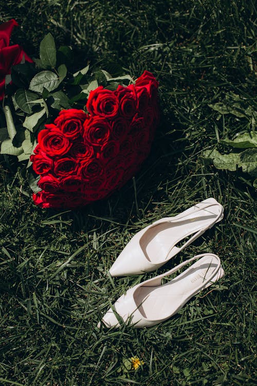 Women Shoes and a Bouquet of Red Roses Lying on the Grass 