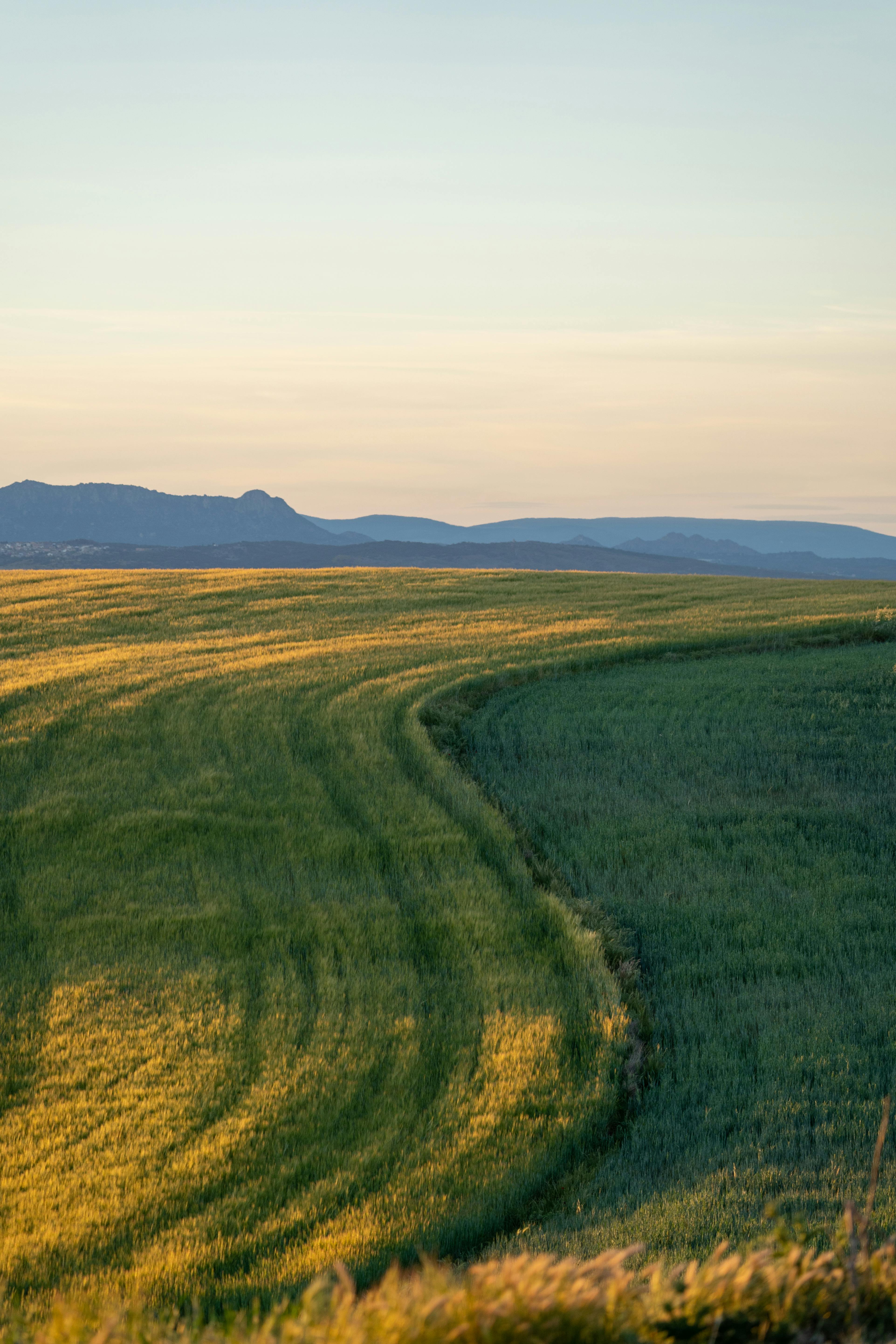 Peaceful rural landscape in Algete, Spain, showcasing green fields under a serene sunset.
