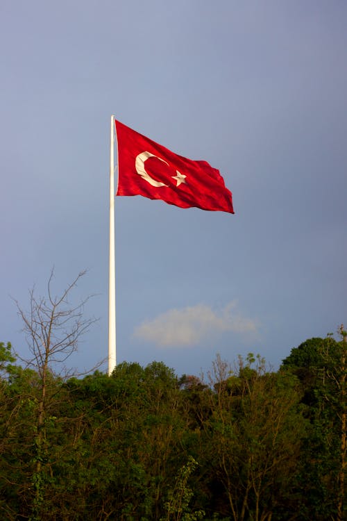 Flag of Turkey over Trees