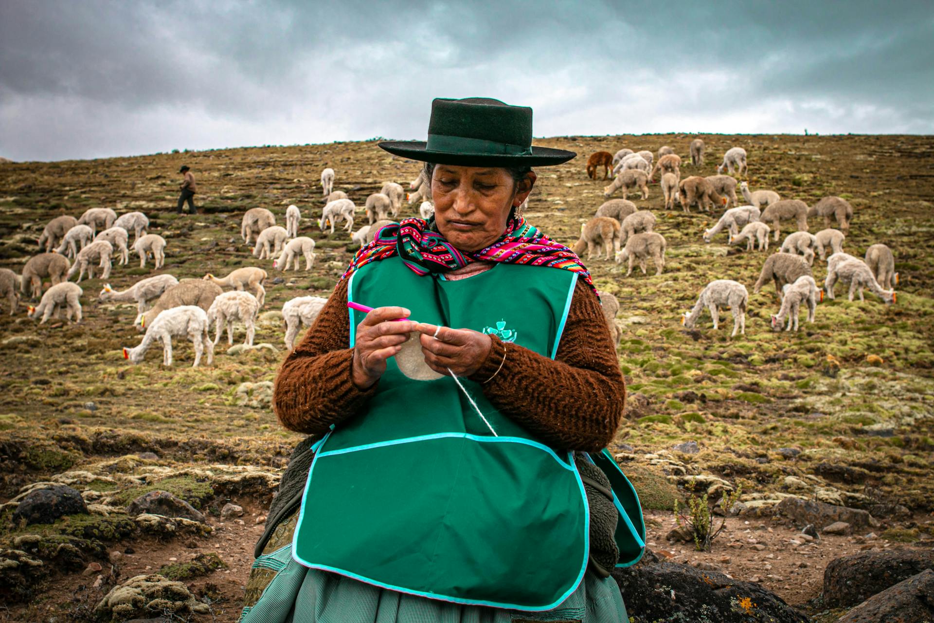 Een vrouw en een kudde schapen