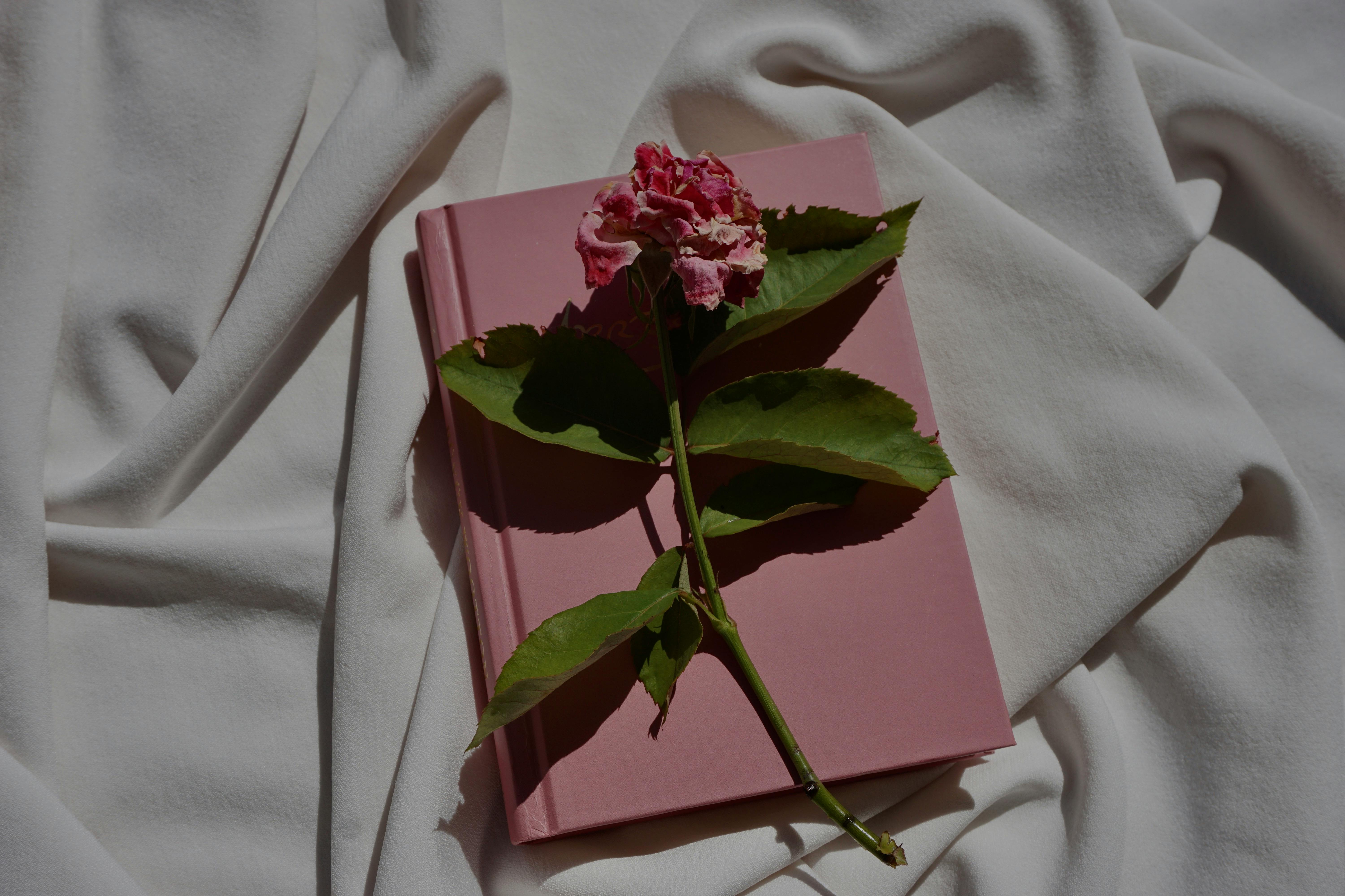 A pink notebook with a flower on a sunlit white fabric background.