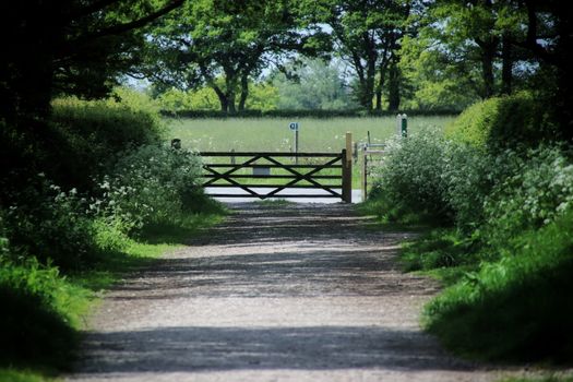 Free stock photo of canon, fence, gate
